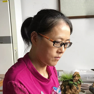 宜兴紫砂壶大师何叶 宜兴紫砂壶大师何叶