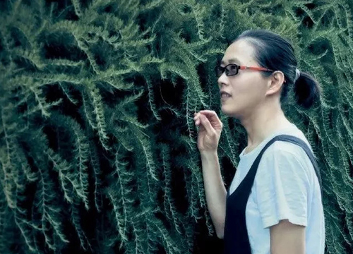 宜兴何叶大师风采 宜兴何叶大师风采