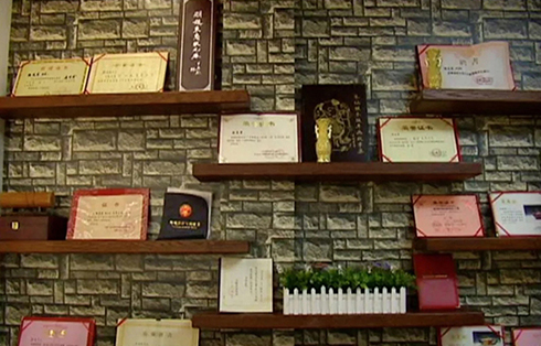 顾道荣大师获奖荣誉证书