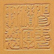 顾道荣印章阳羡积厚轩制方印