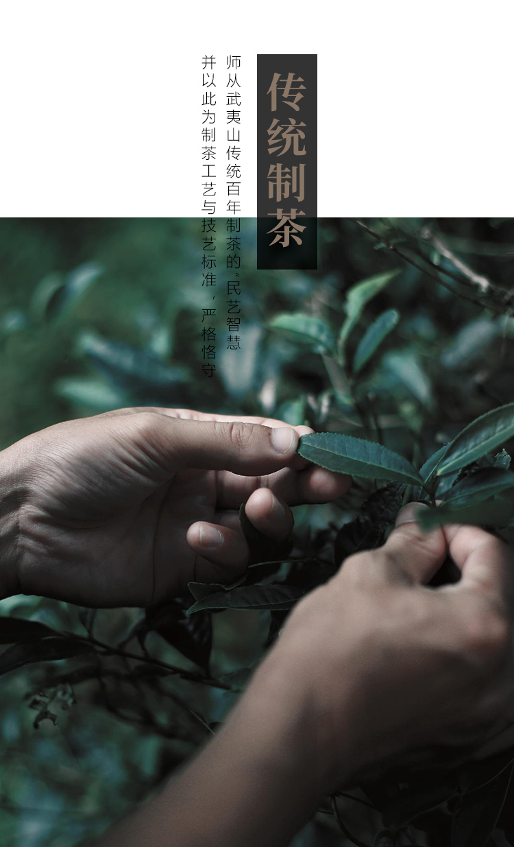 虎啸岩武夷岩茶制茶工艺