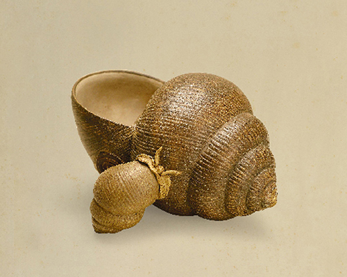 裴石民制田螺拍卖价格多少钱