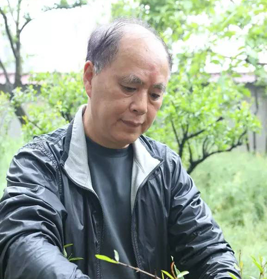 宜兴实力派大师施小马紫砂艺术