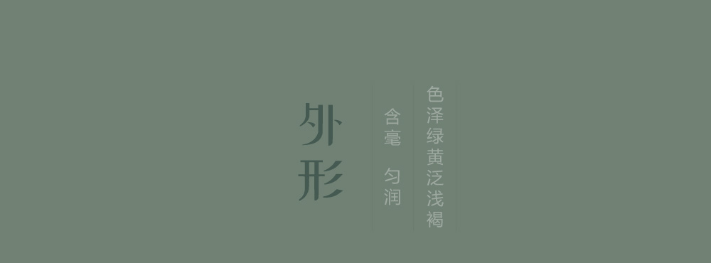茶叶外形标题