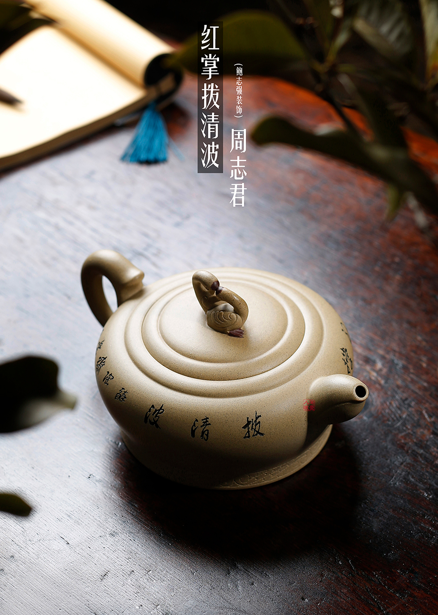 名家周志君作品《红掌拨清波(鲍志强铭)》