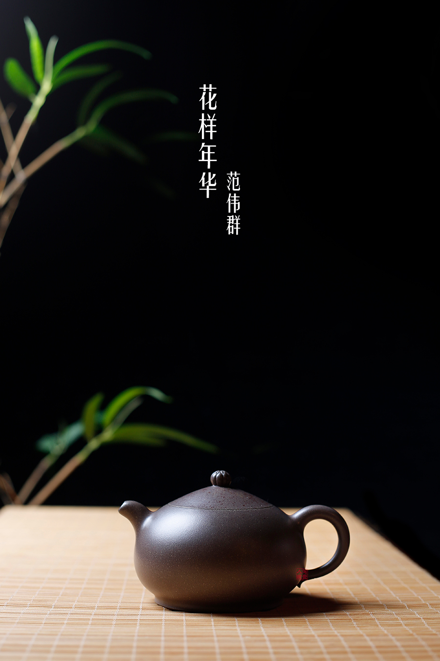 名家范伟群作品《花样年华》
