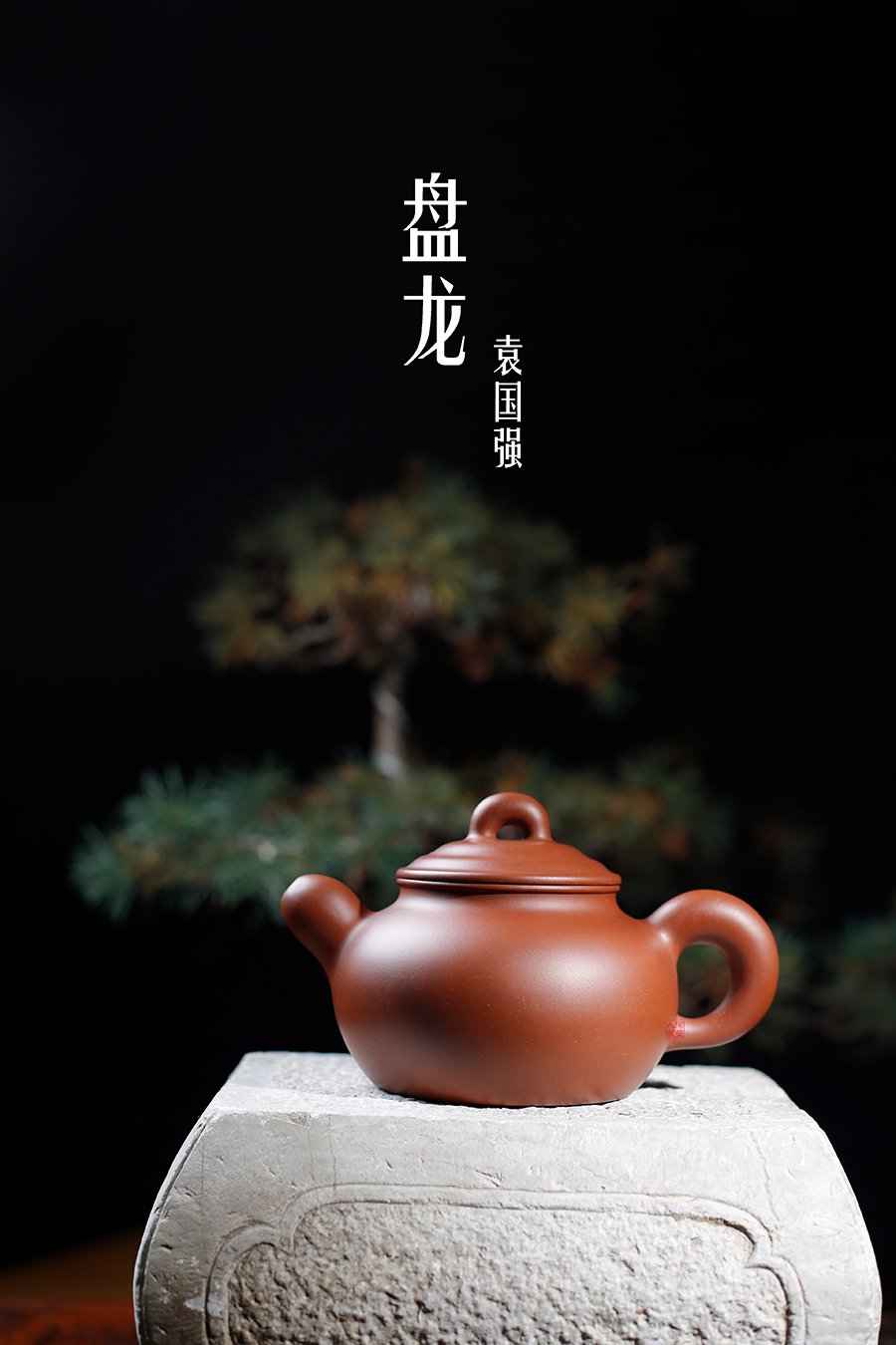 名家袁国强作品《盘龙》