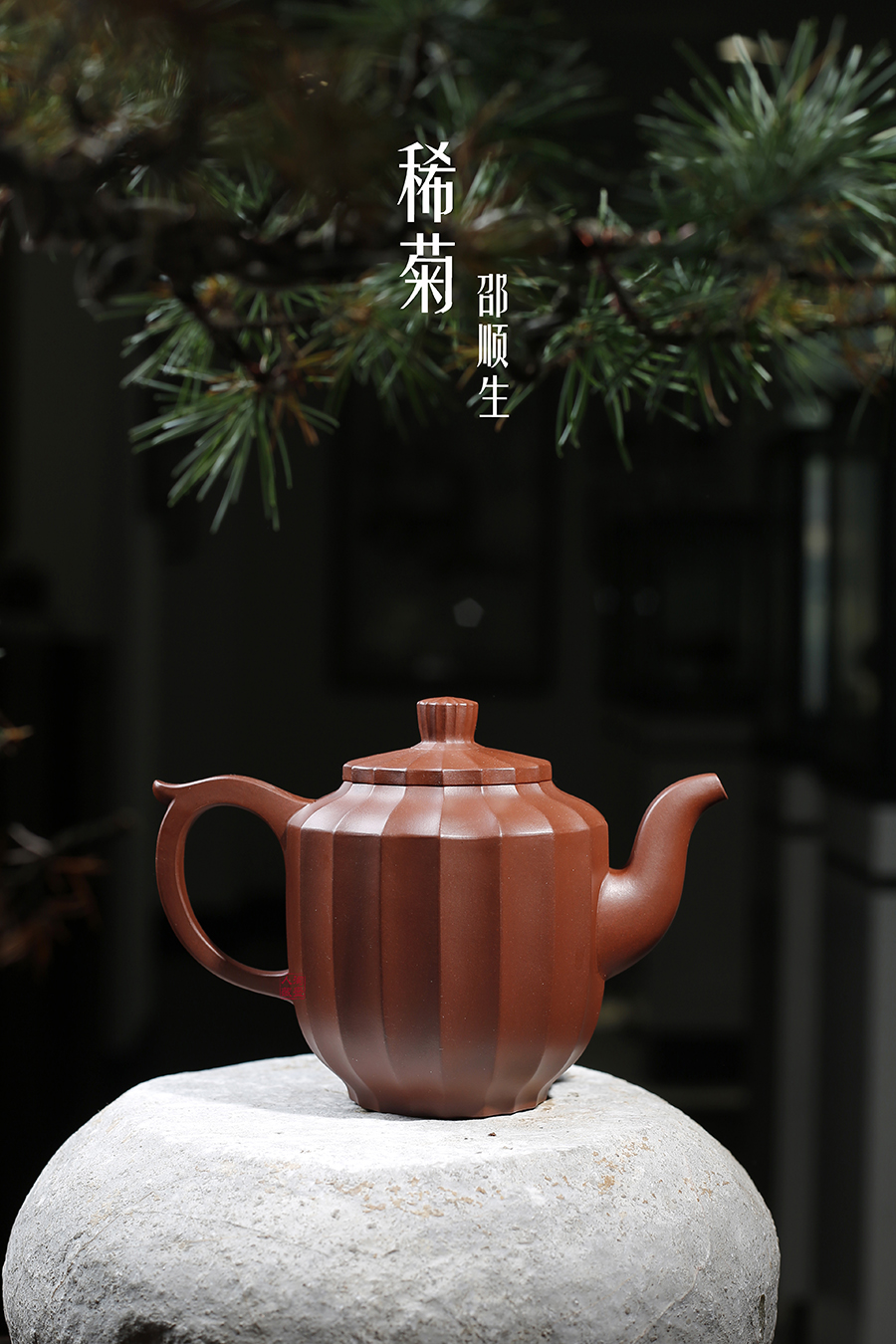 名家邵顺生作品《稀菊》