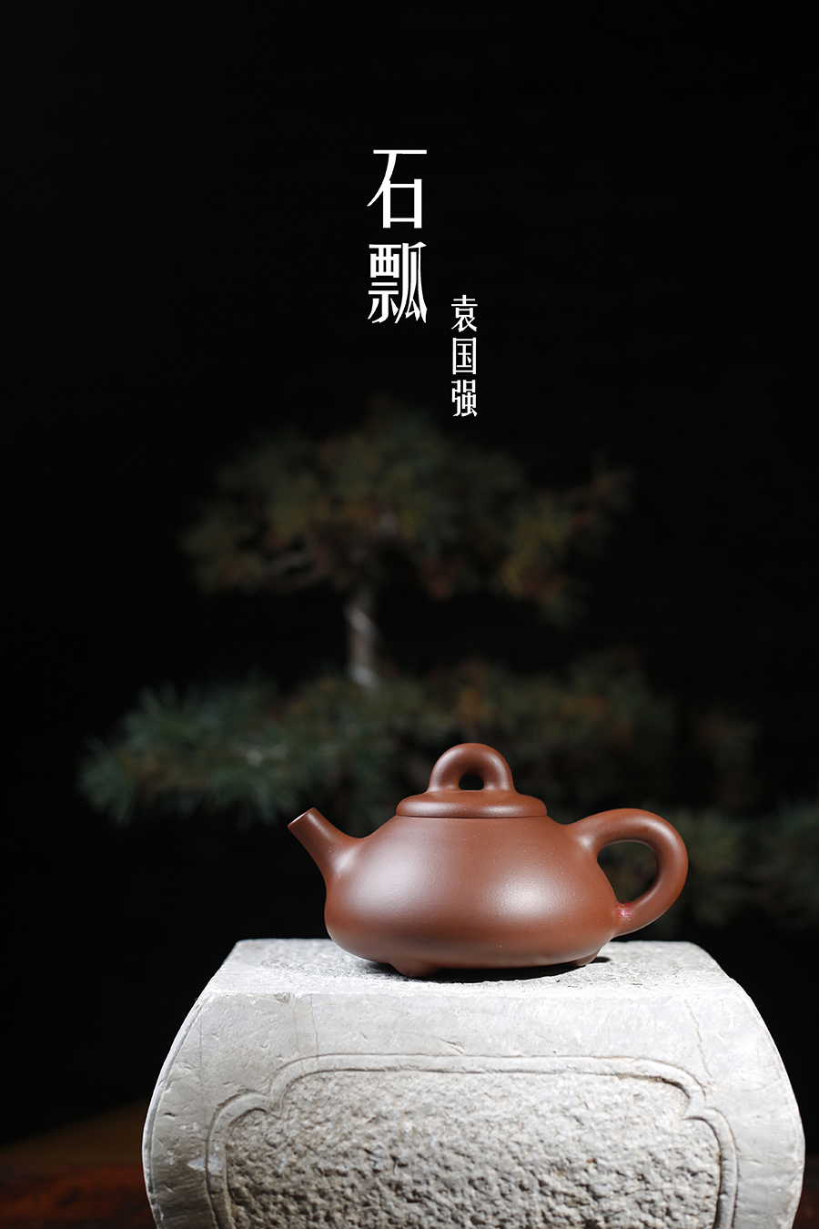 名家袁国强作品《石瓢》