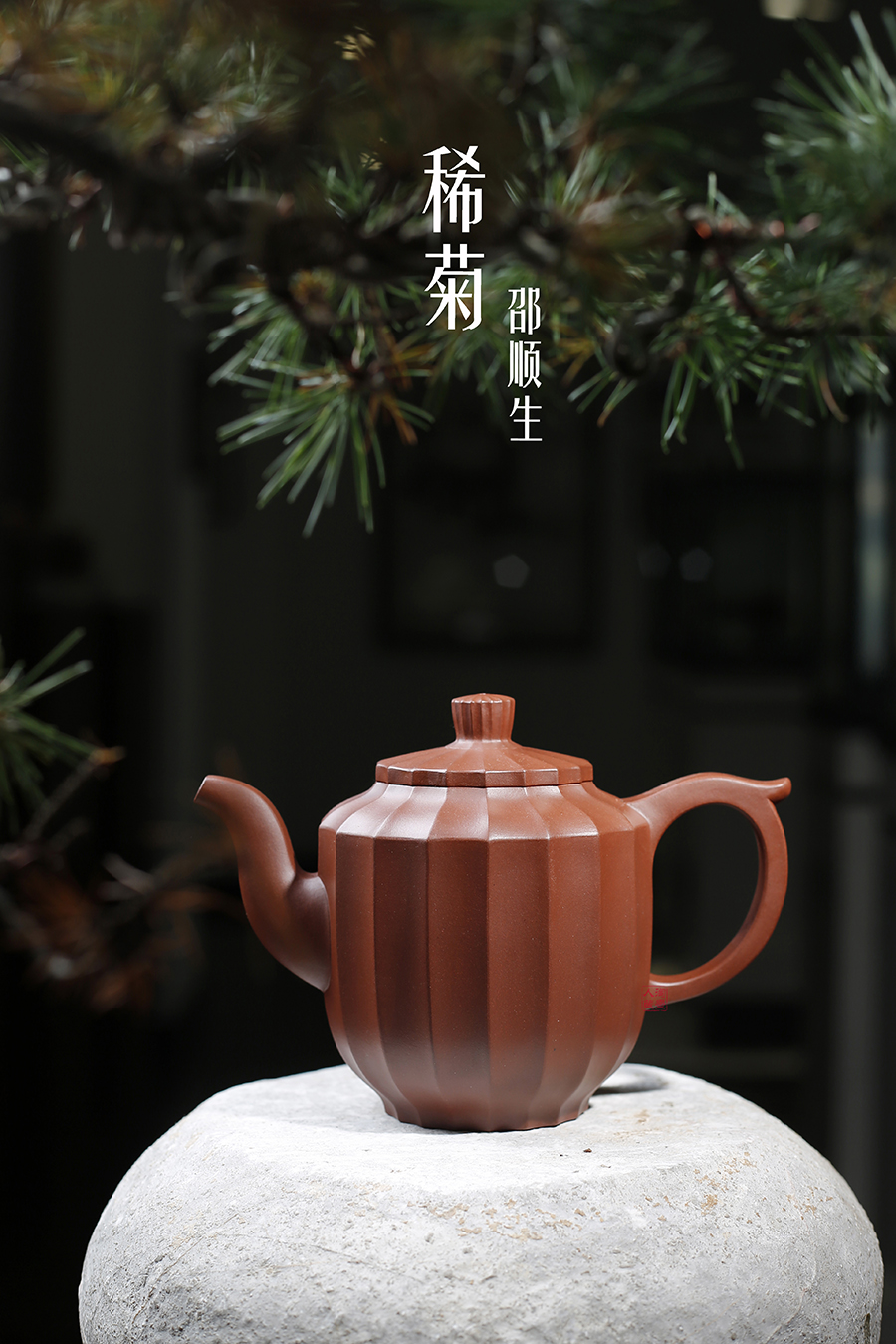 名家邵顺生作品《稀菊》