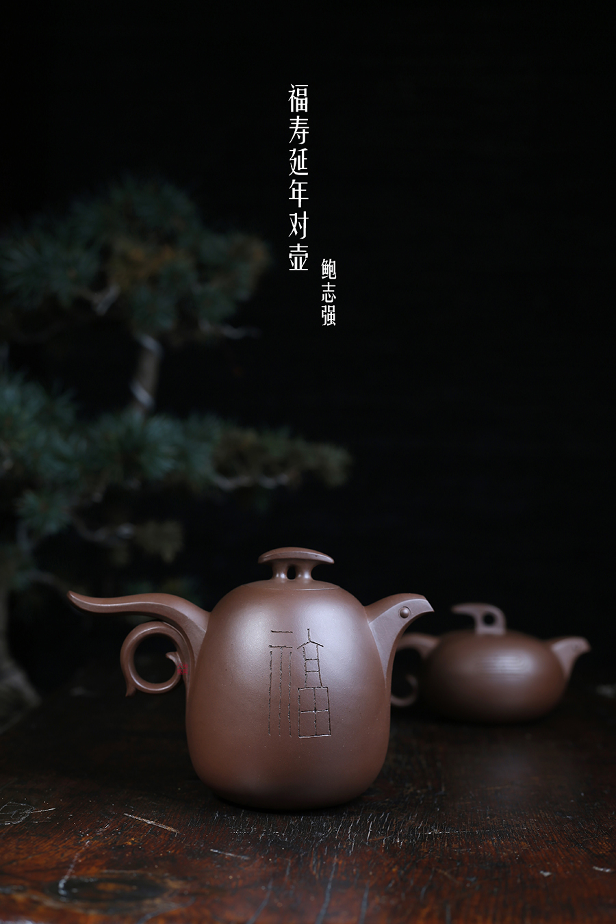 鲍志强作品《福寿延年对壶》