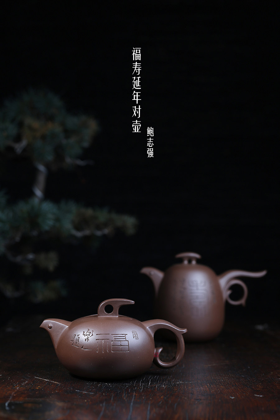鲍志强作品《福寿延年对壶》