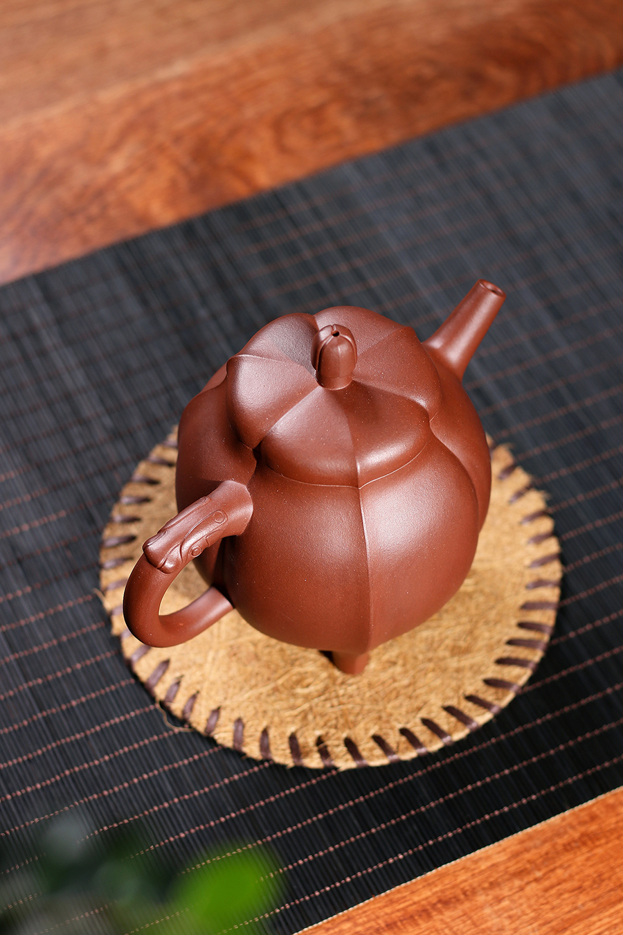 名家沈建强作品《玉兰花》