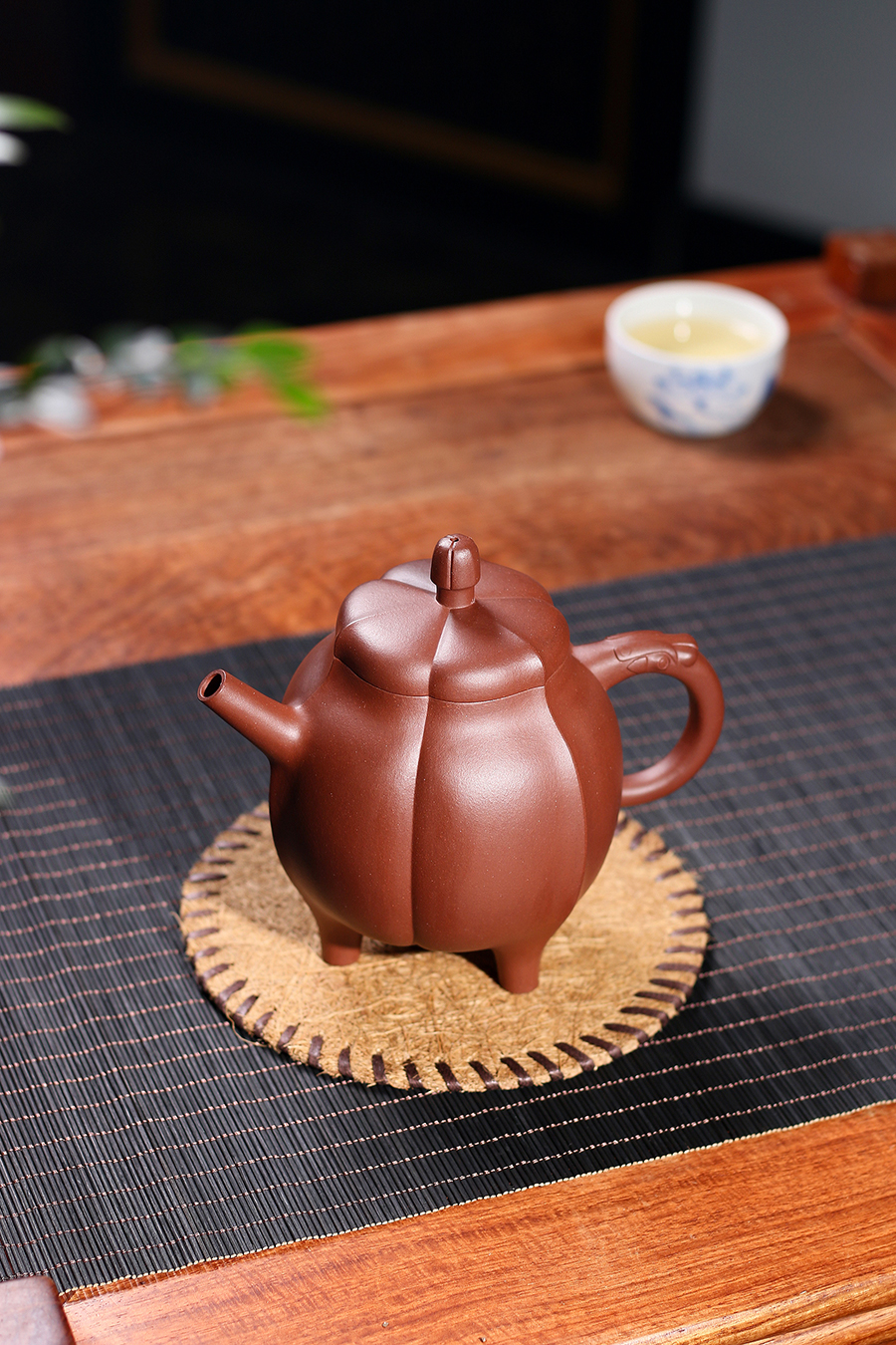 名家沈建强作品《玉兰花》