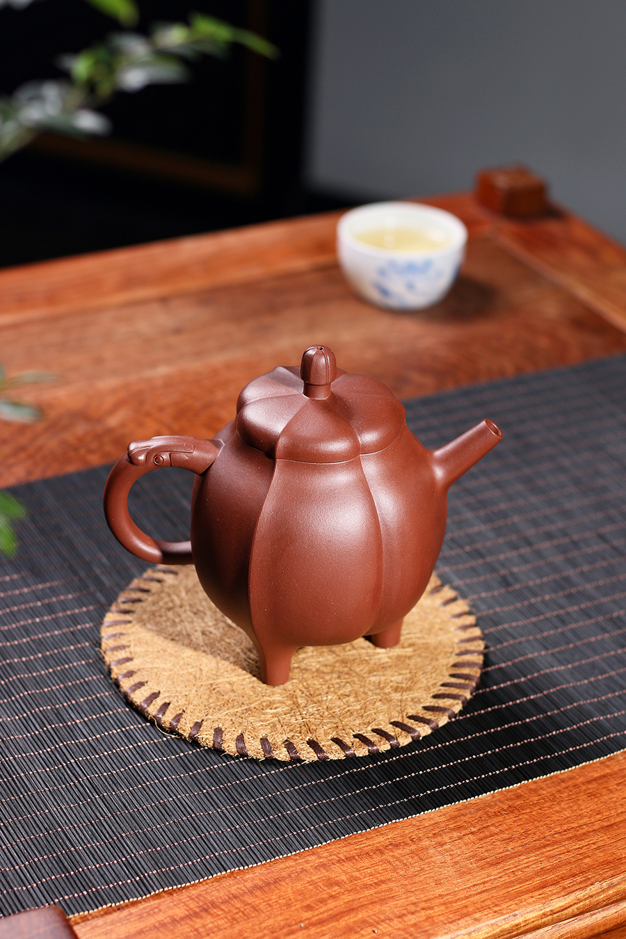 名家沈建强作品《玉兰花》