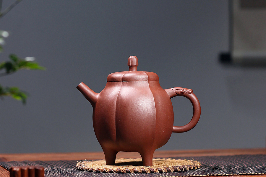 名家沈建强作品《玉兰花》