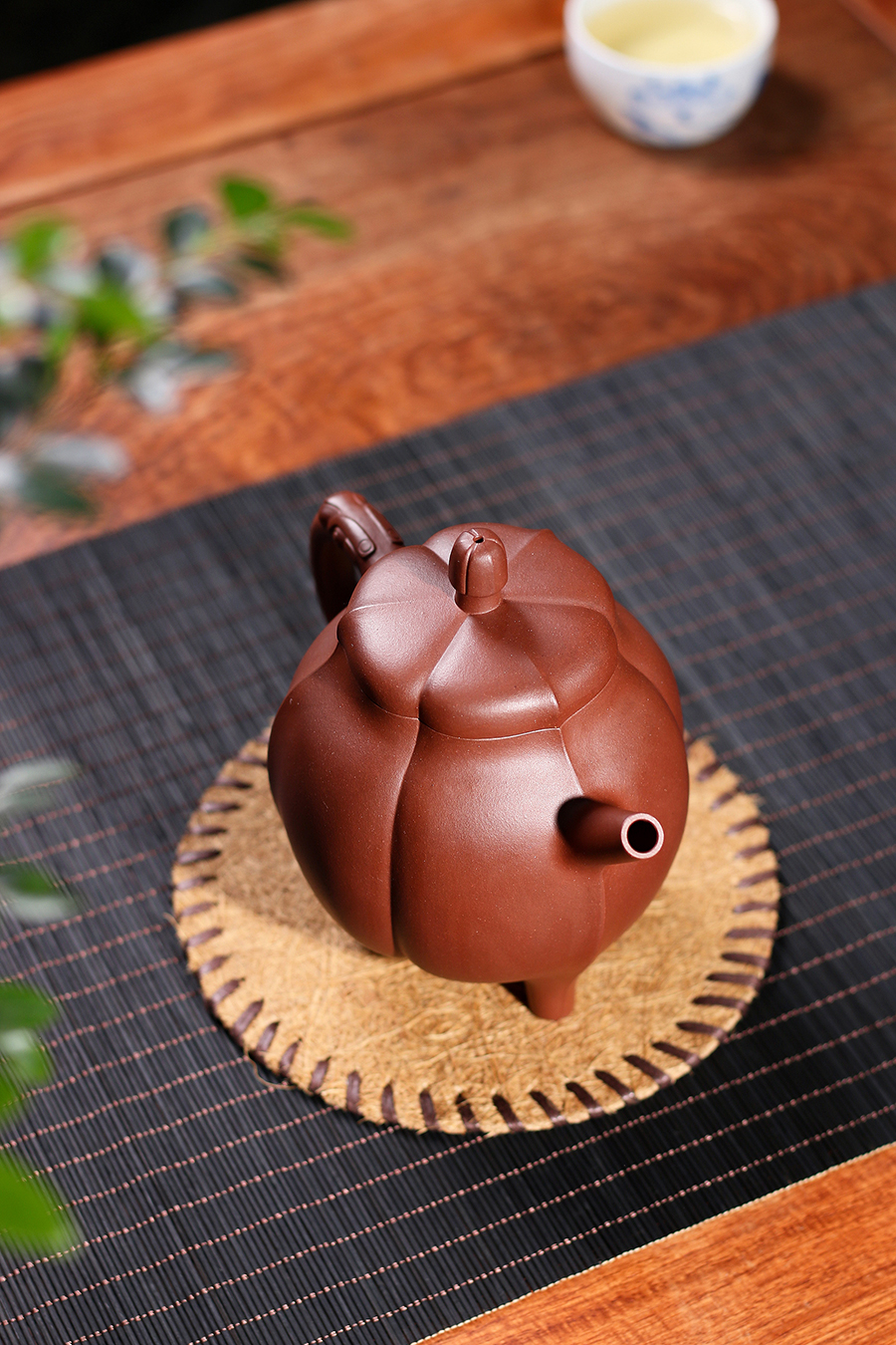 名家沈建强作品《玉兰花》