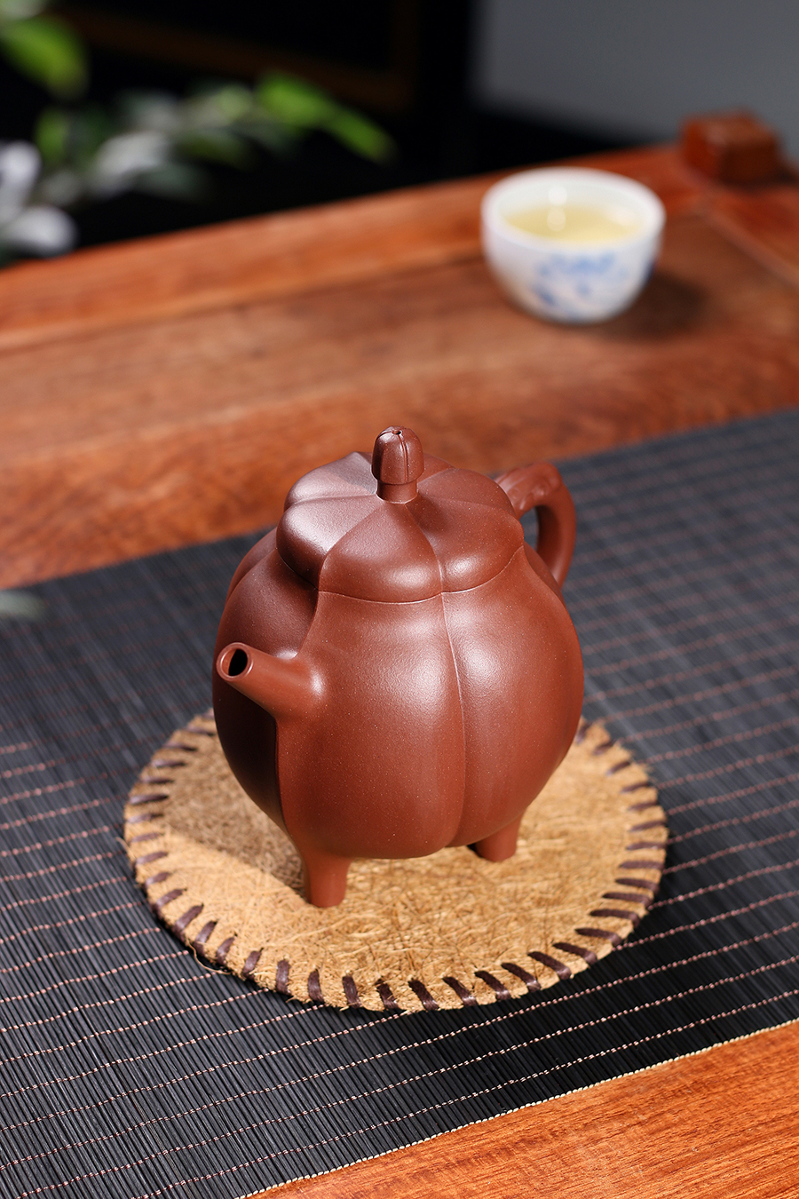 名家沈建强作品《玉兰花》