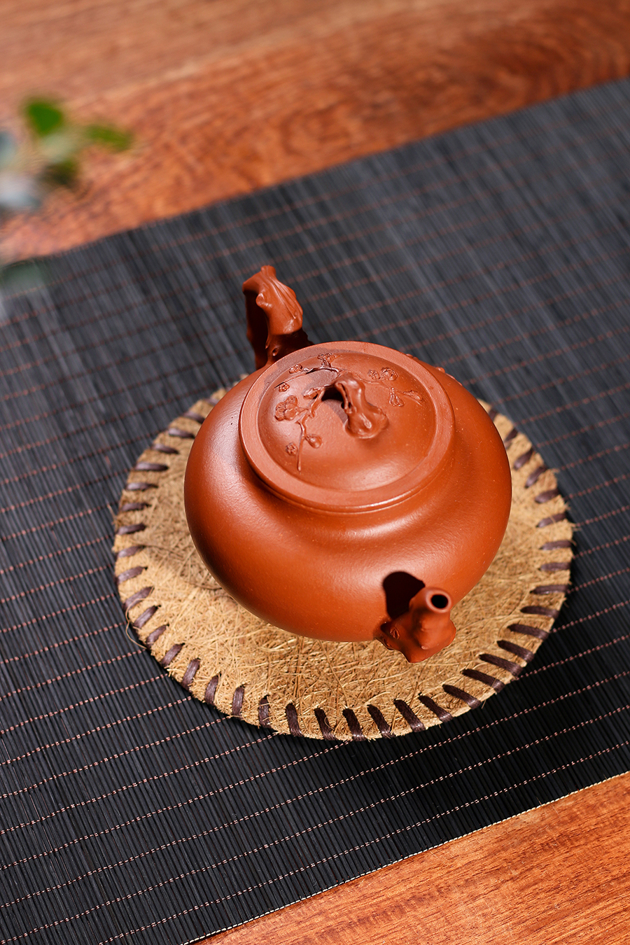 名家凌锡苟作品《报春》