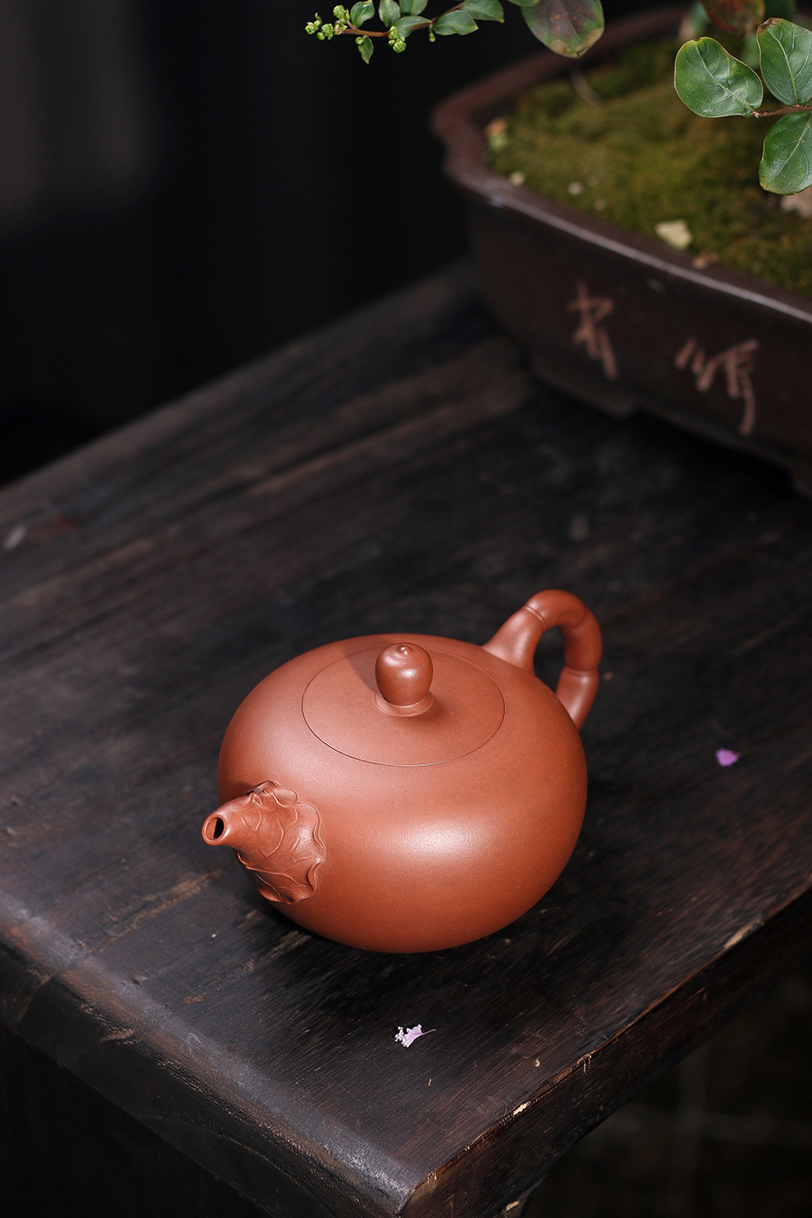 高丽君制和联壶