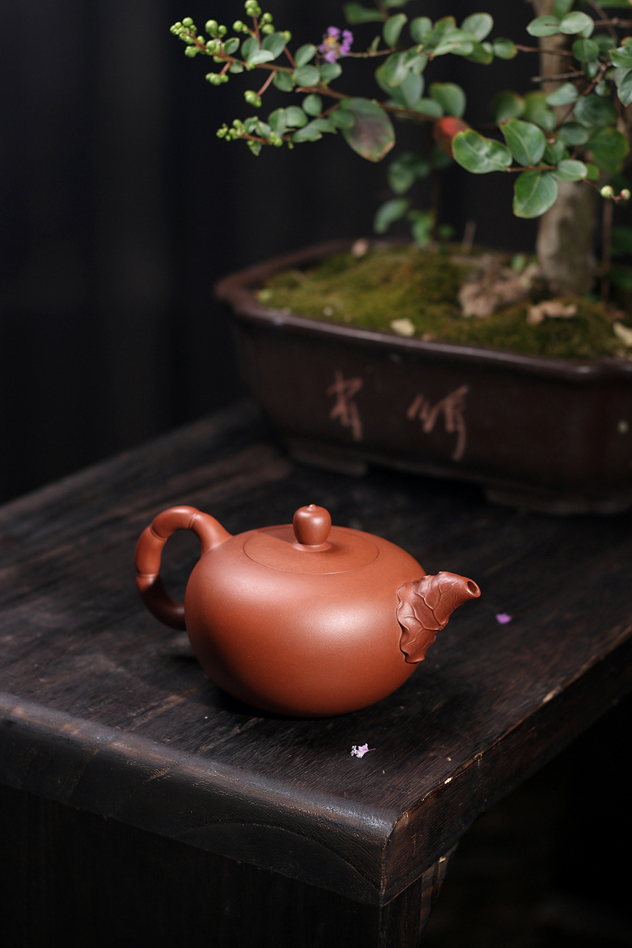 高丽君制和联壶