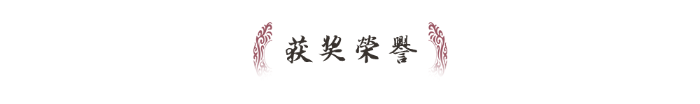 获奖荣誉标题